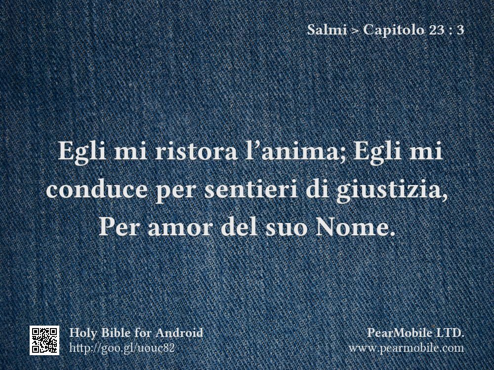 Salmi, Capitolo 23:3